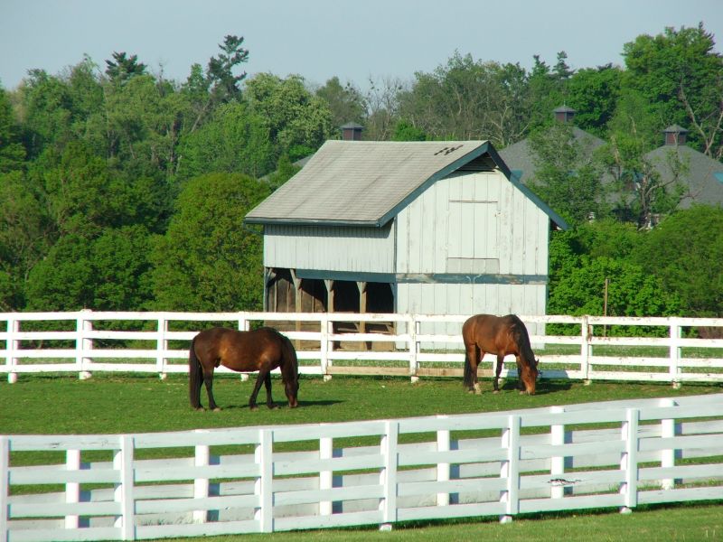 Barn Roof Construction in Rutherford County, TN
