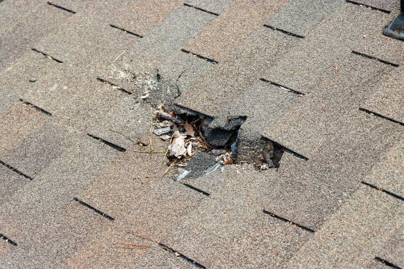 Shingle Roof Replacement in Murfreesboro, TN