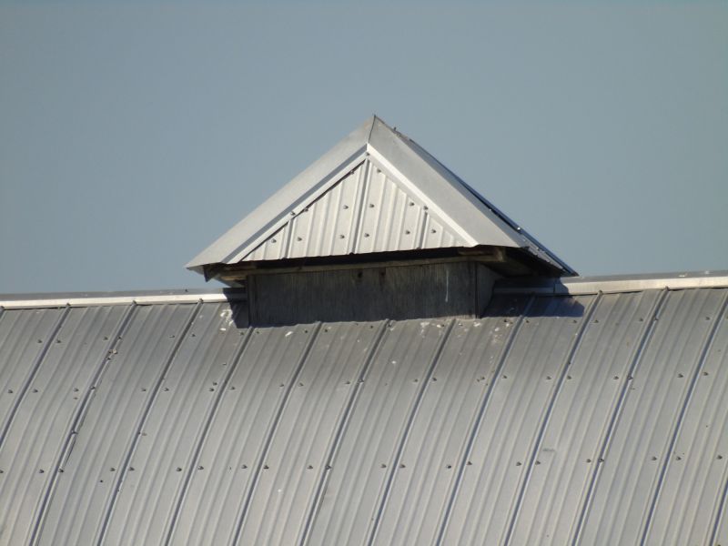 Tin Roof Installation in Antioch, TN